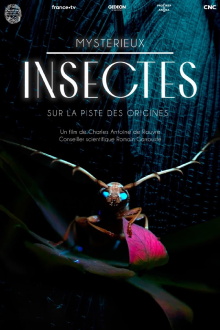 Mysterious Origins of Insects Trailer
