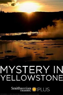 Mystery in Yellowstone Trailer