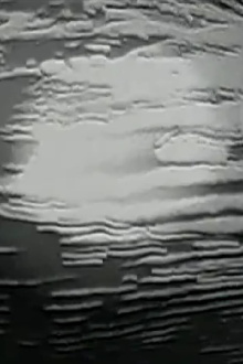 n e s t - smoke signals Trailer