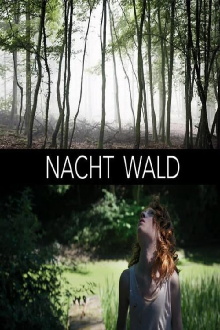 Nacht Wald Trailer