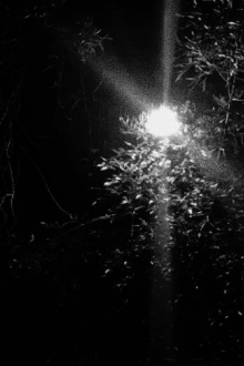 Nachtspaziergang Trailer