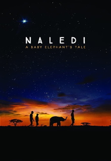 Naledi: A Baby Elephant's Tale Trailer
