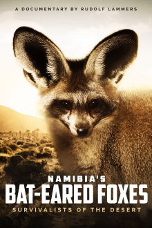 Namibia's Bat-eared Foxes: Survivalists of the Desert Trailer