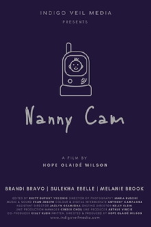 Nanny Cam Trailer