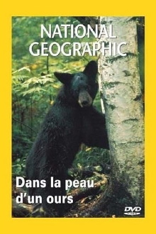 National Geographic : Dans la peau d'un ours Trailer