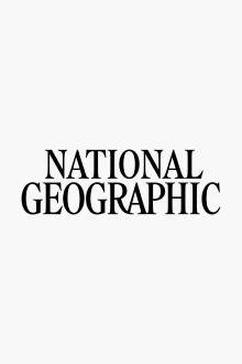 National Geographic: Emperors of the Ice Trailer