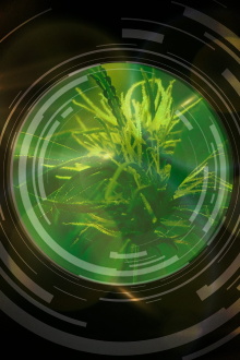 National Geographic Investigates: Legal Marijuana in America Trailer