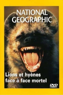 National Geographic : Lions et Hyènes, face à face mortel Trailer