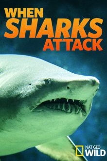 National Geographic : Quand Les Requins Attaquent Trailer