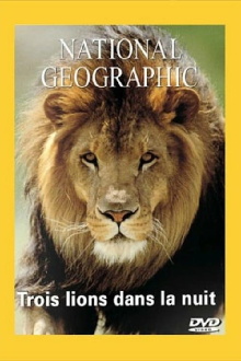 National Geographic : Trois lions dans la nuit Trailer