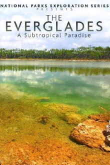 National Parks Exploration Series: The Everglades Trailer