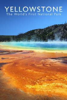 National Parks Exploration Series: Yellowstone Trailer