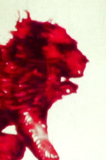 Natural History Trailer