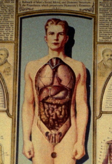Natural History Trailer