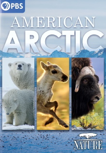 Nature: American Arctic Trailer