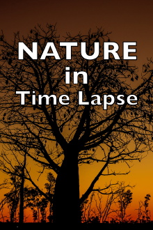 NATURE in Time Lapse Trailer