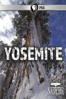 Nature: Yosemite Trailer