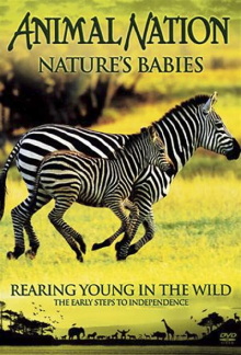 Nature's Babies: Rearing Young in the Wild Trailer