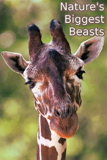 Nature's Biggest Beasts Trailer
