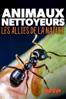 Nature's Cleanup Crew Trailer