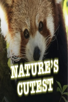 Nature's Cutest Trailer