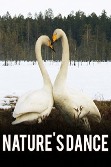 Nature's Dance Trailer