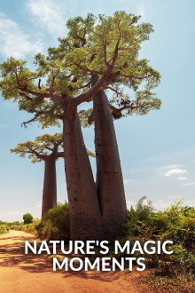 Nature's Magic Moments Trailer