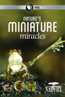Nature's Miniature Miracles Trailer