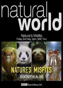 Nature's Misfits Trailer