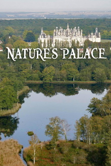 Nature's Palace Trailer