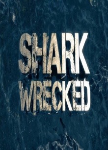 Naufragio entre tiburones Trailer
