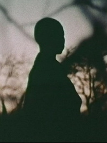 Nawi Trailer