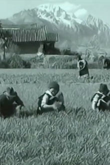 Naxi Art and Culture in Lijiang Trailer