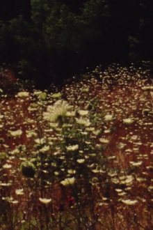 Near Loutra Iraias Trailer
