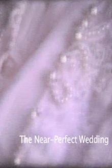 Near-Perfect Wedding Trailer