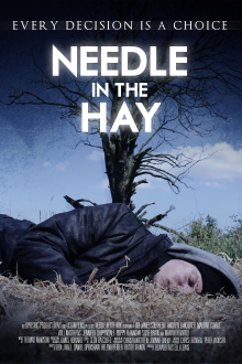 Needle in the Hay Trailer
