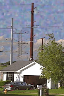 Neighborhood Trailer