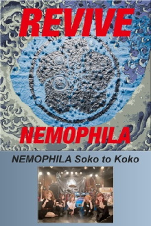 NEMOPHILA Soko to Koko Trailer
