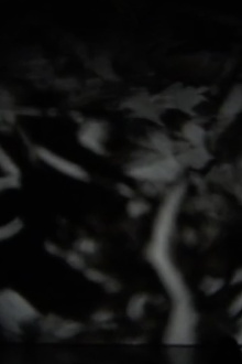 Nervous Lantern at Kill Your Timid Notion Festival Trailer