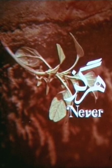 Never Trailer