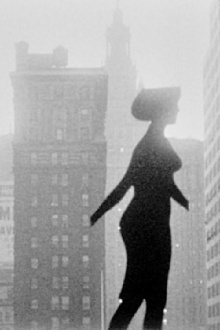 New York Eye and Ear Control Trailer