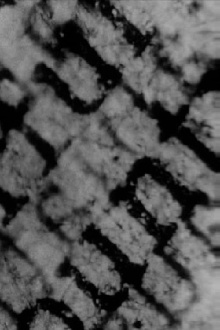 Newsprint #1 Trailer