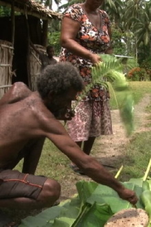 Ngali, Nut of Life Trailer
