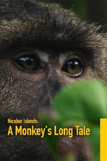 Nicobar Islands: A Monkey's Long Tale Trailer