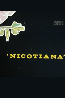 Nicotiana Trailer