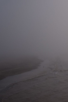 Niebla Trailer