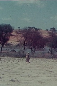 Niger-Norway Trailer