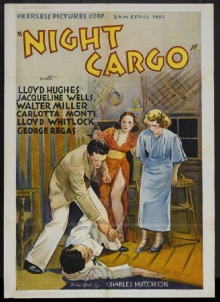 Night Cargo Trailer