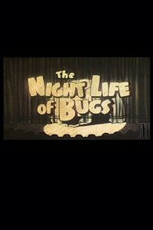 Night Life of the Bugs Trailer
