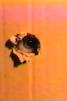 Night Sweats Trailer